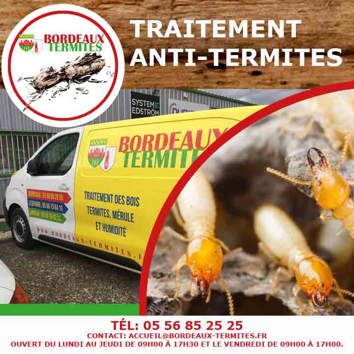 Médoc Termites 